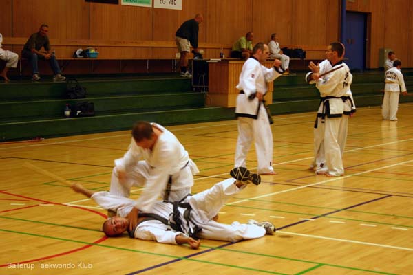 2006-08-02_Tang_Soo_Do_06